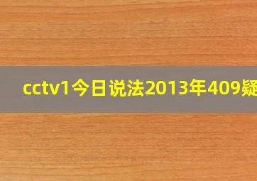 cctv1今日说法2013年409疑案