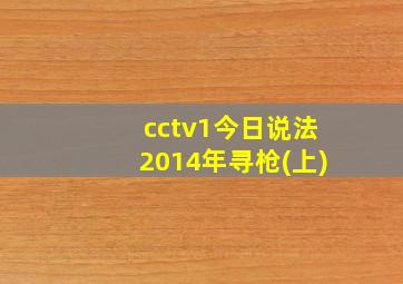 cctv1今日说法2014年寻枪(上)