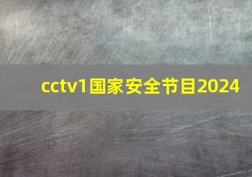 cctv1国家安全节目2024