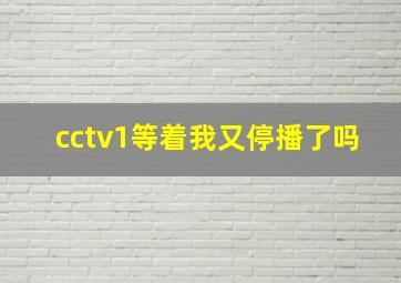 cctv1等着我又停播了吗