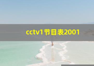 cctv1节目表2001