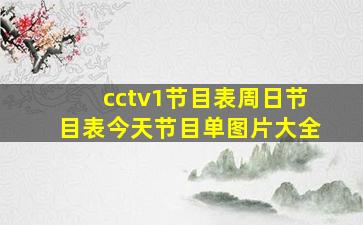 cctv1节目表周日节目表今天节目单图片大全