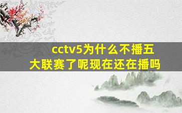 cctv5为什么不播五大联赛了呢现在还在播吗