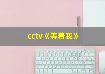 cctv《等着我》