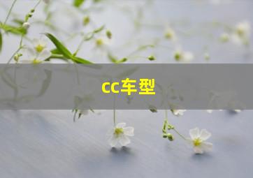 cc车型