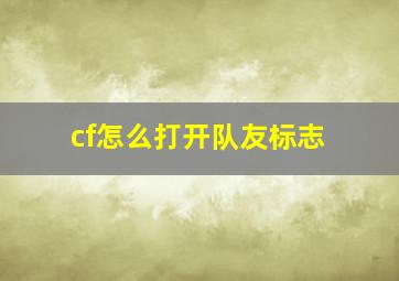 cf怎么打开队友标志