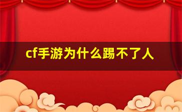 cf手游为什么踢不了人