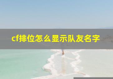 cf排位怎么显示队友名字