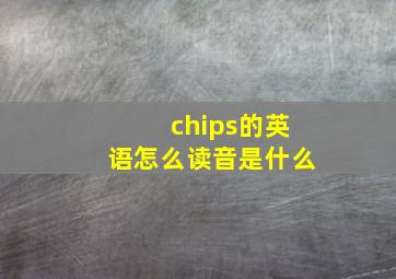 chips的英语怎么读音是什么