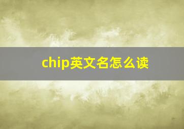 chip英文名怎么读