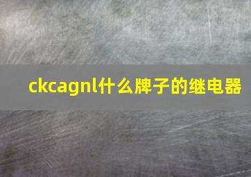 ckcagnl什么牌子的继电器