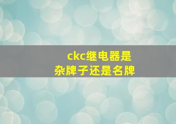 ckc继电器是杂牌子还是名牌