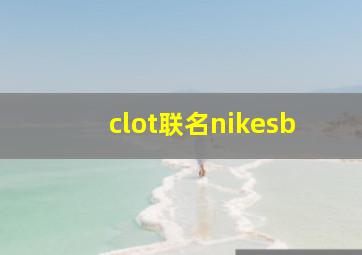 clot联名nikesb