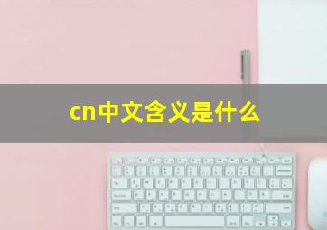 cn中文含义是什么