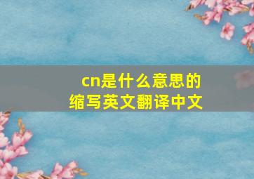 cn是什么意思的缩写英文翻译中文