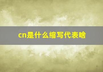 cn是什么缩写代表啥