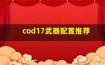 cod17武器配置推荐