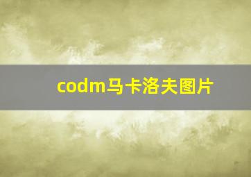 codm马卡洛夫图片