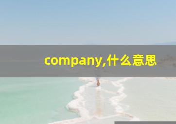 company,什么意思