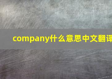 company什么意思中文翻译