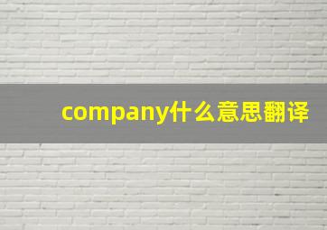 company什么意思翻译