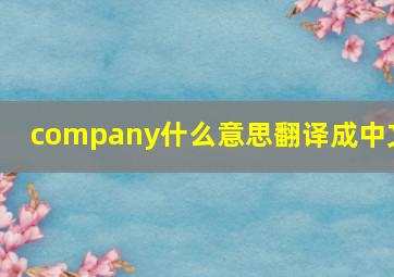 company什么意思翻译成中文