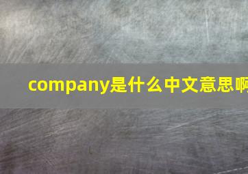 company是什么中文意思啊