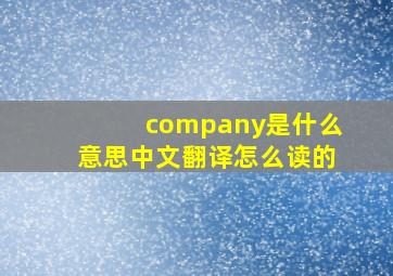 company是什么意思中文翻译怎么读的