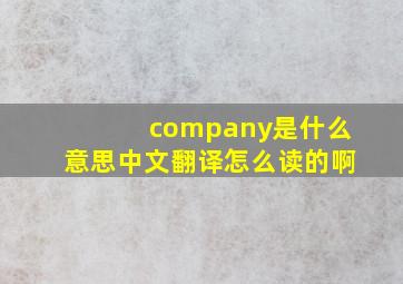 company是什么意思中文翻译怎么读的啊