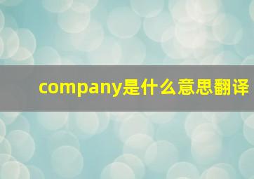 company是什么意思翻译