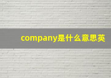 company是什么意思英