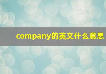 company的英文什么意思