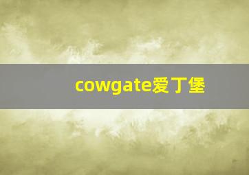 cowgate爱丁堡