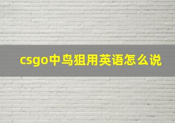 csgo中鸟狙用英语怎么说