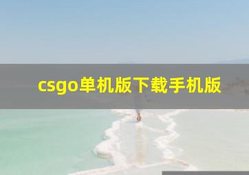 csgo单机版下载手机版