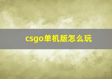 csgo单机版怎么玩