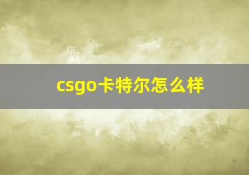 csgo卡特尔怎么样