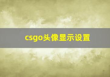 csgo头像显示设置