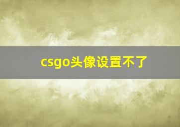 csgo头像设置不了