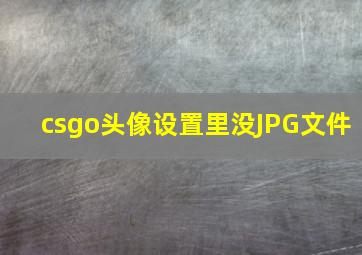 csgo头像设置里没JPG文件