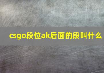 csgo段位ak后面的段叫什么