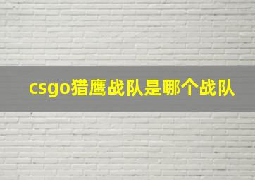 csgo猎鹰战队是哪个战队