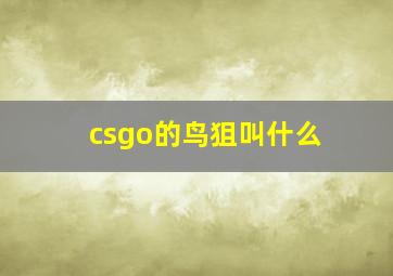 csgo的鸟狙叫什么