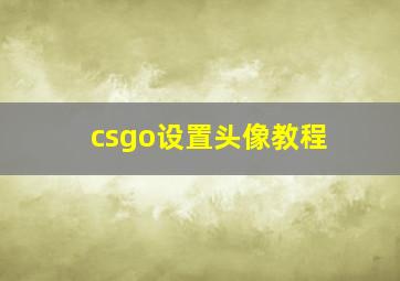 csgo设置头像教程