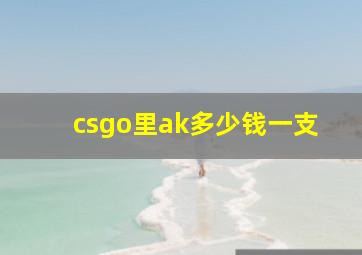 csgo里ak多少钱一支