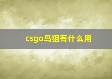 csgo鸟狙有什么用