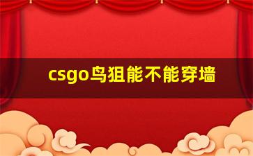 csgo鸟狙能不能穿墙