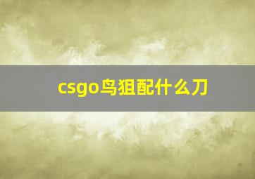 csgo鸟狙配什么刀