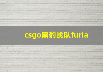 csgo黑豹战队furia