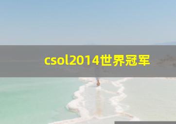 csol2014世界冠军